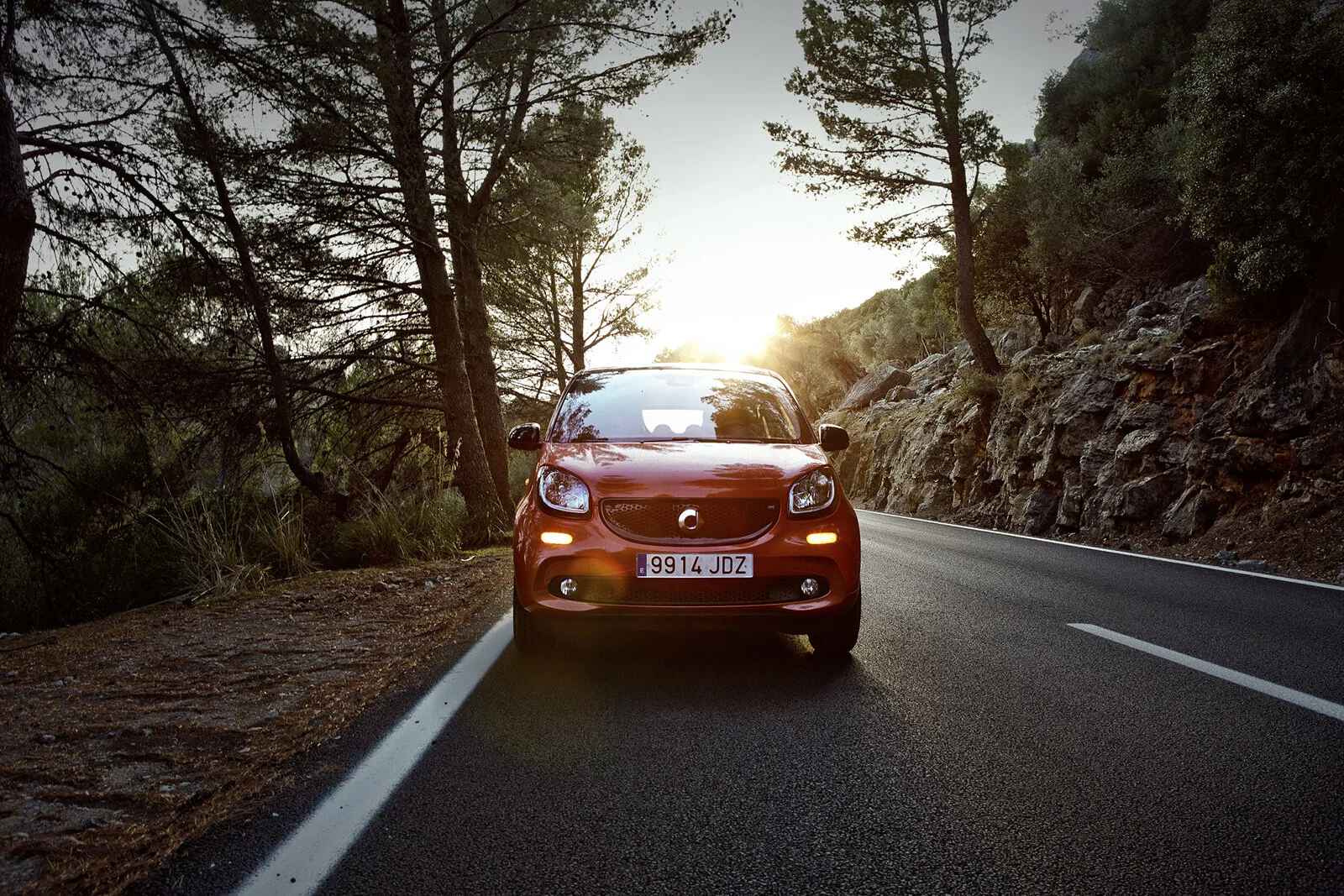 Smart_ForFour_Johannes_Wink_0001.jpg