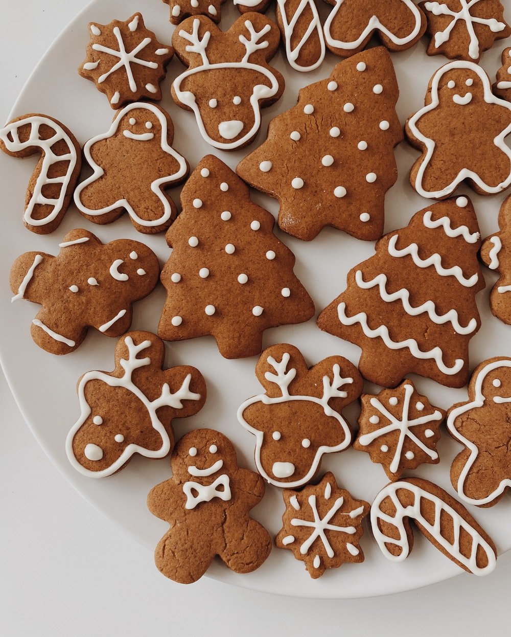 Soft Gingerbread Cookie Recipe — CAMP-of-the-WOODS