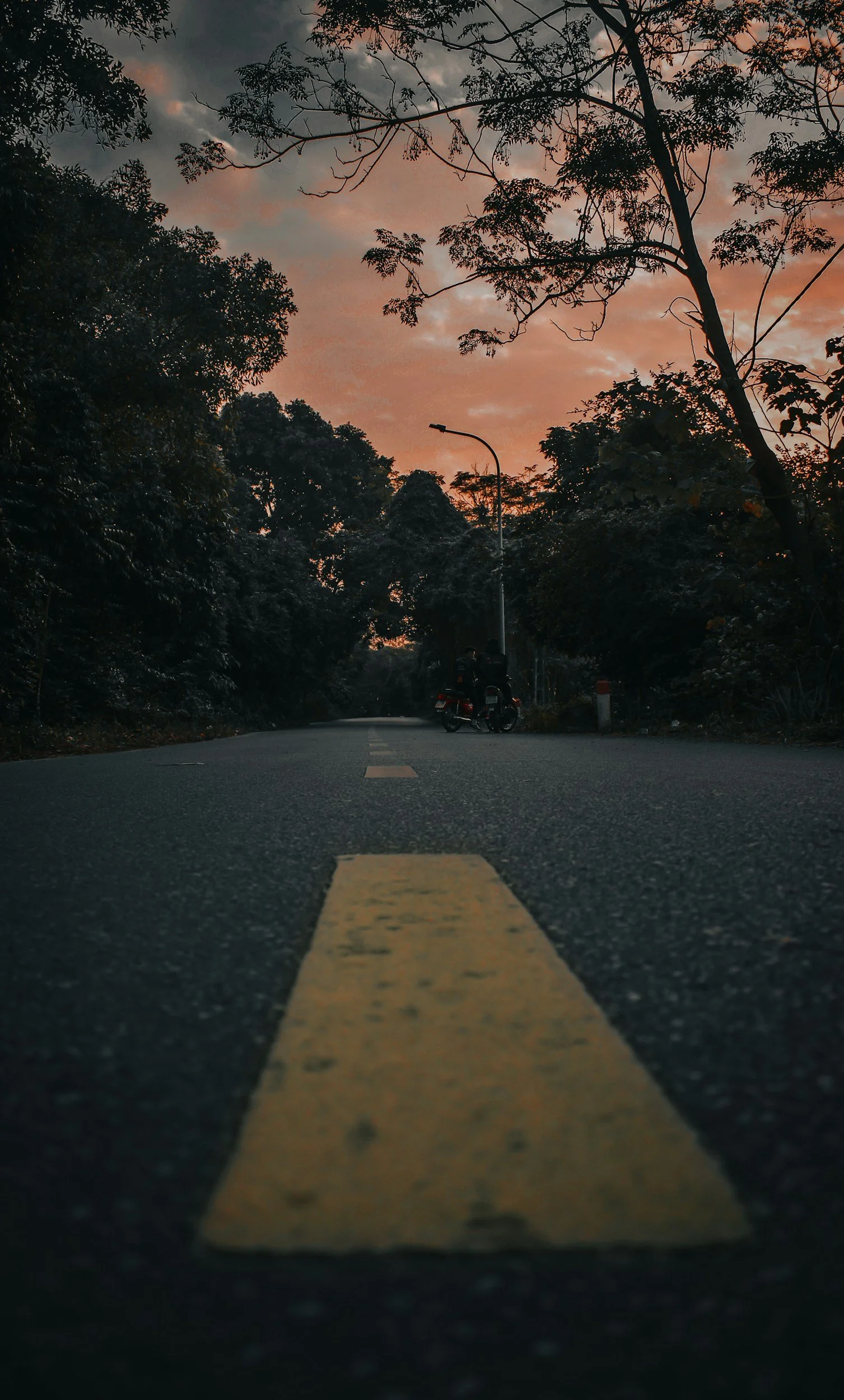 unsplash-image-9RgenH-ZEfk.jpg