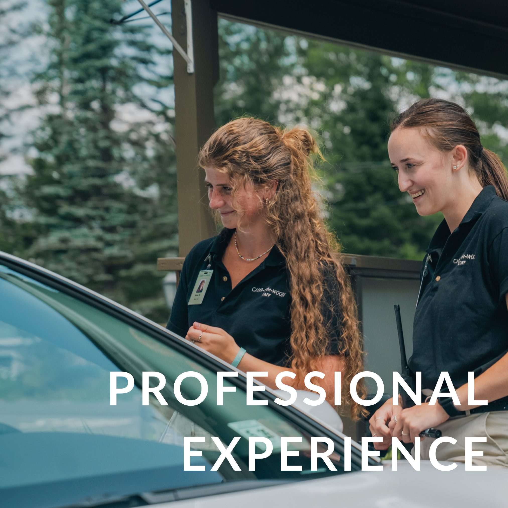 Professional Experience