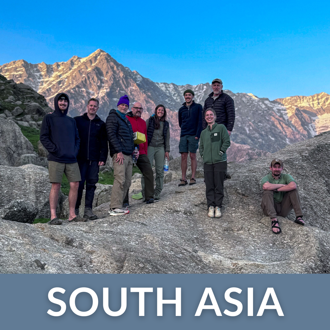 South Asia