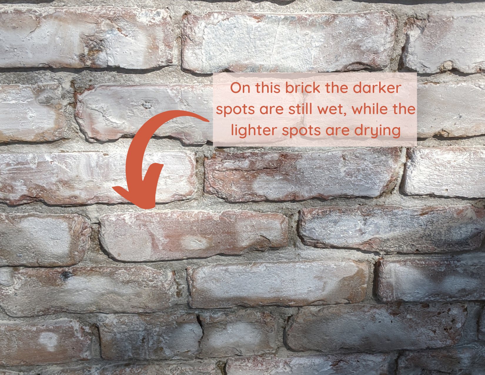 How To Limewash Your Brick House — Olive & June Home: Bold, Functional ...