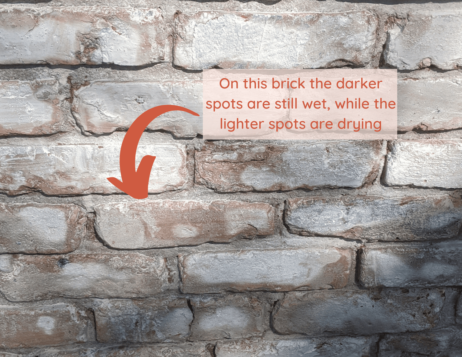 How To Limewash Your Brick House — Olive & June Home: Bold, Functional ...