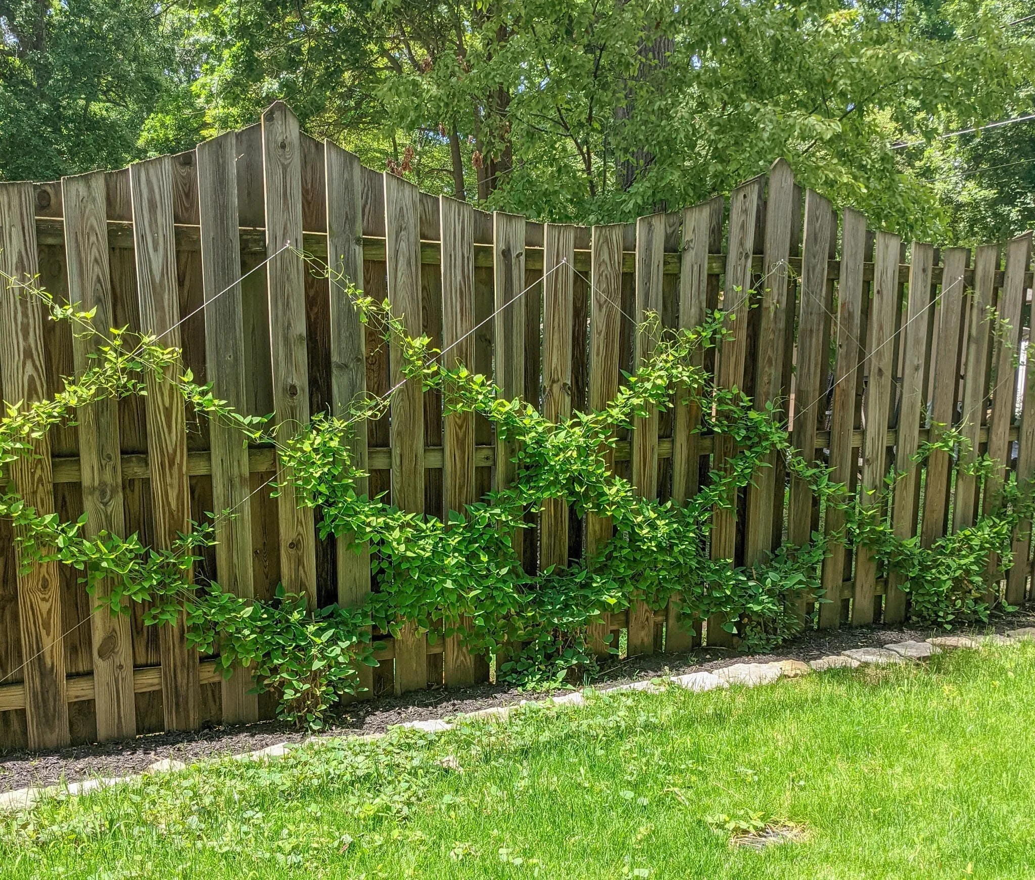 Build Your Own Trellis
