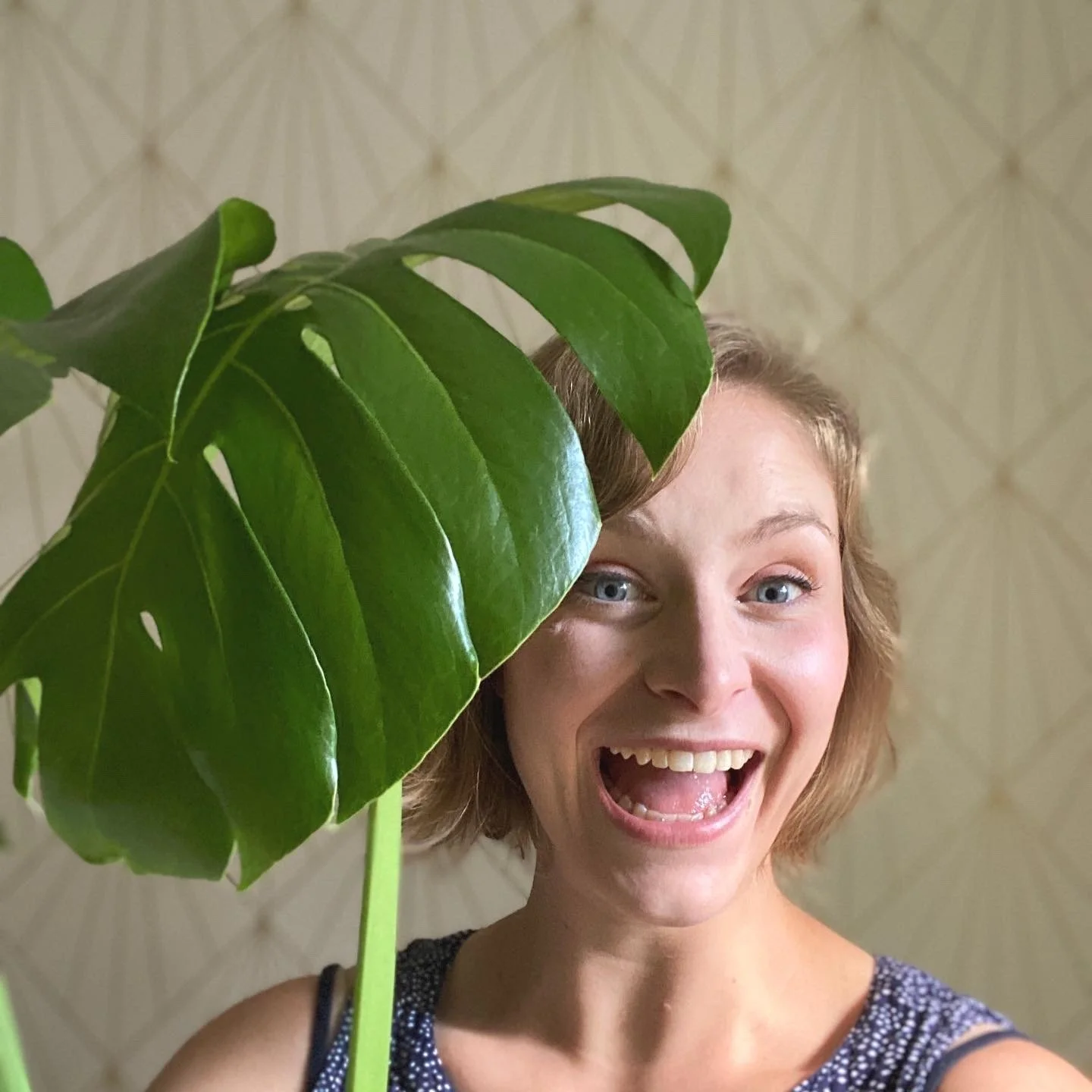 My Favorite Houseplants (And How I Keep Them Alive)