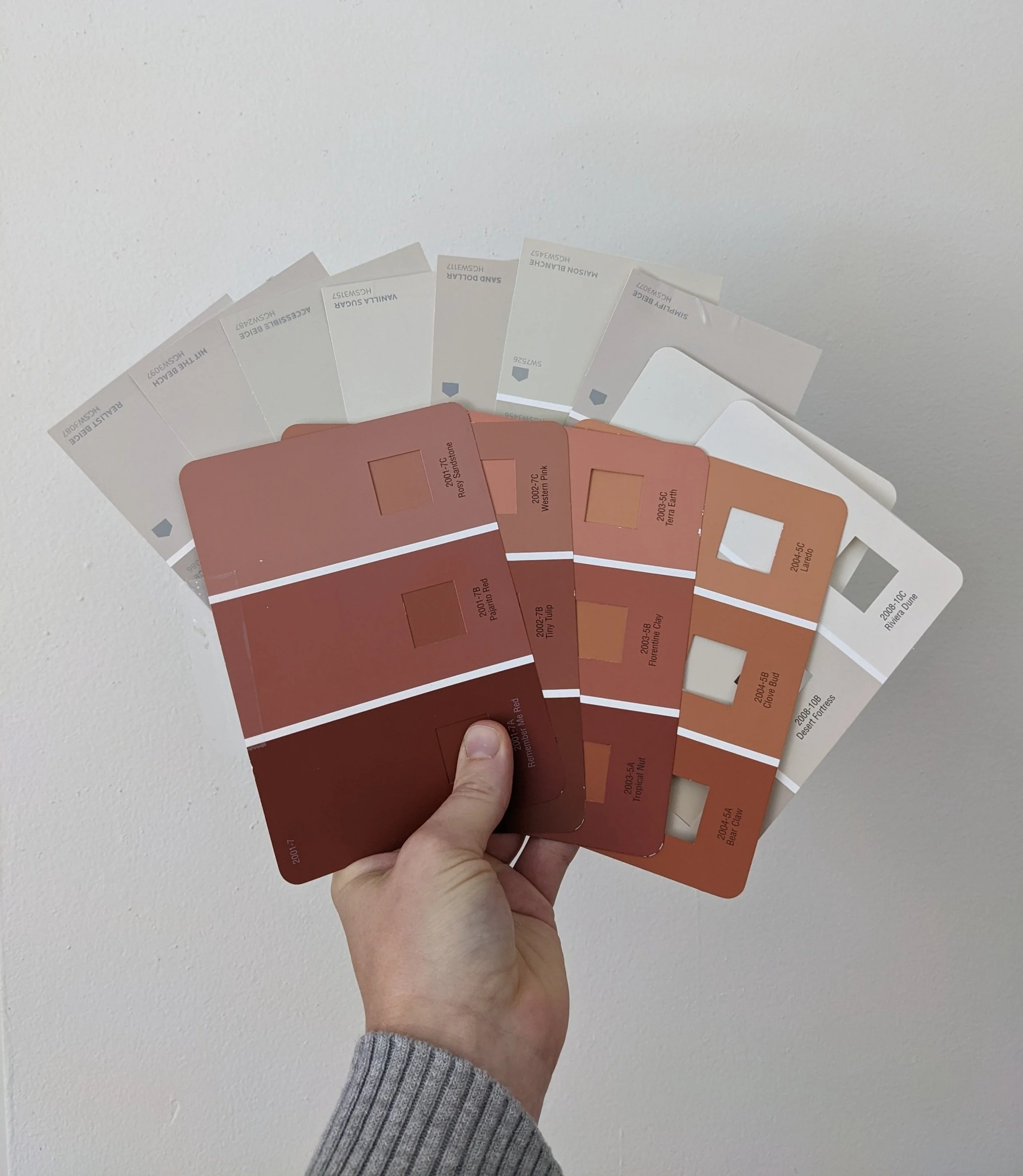 Handful of paint chips