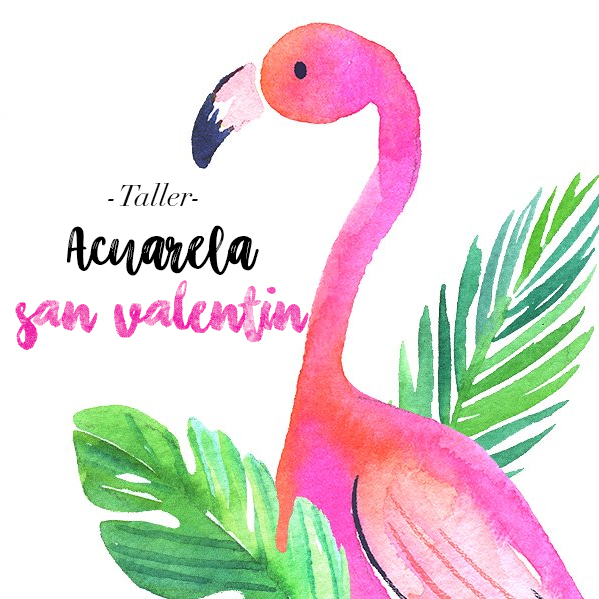 SQ+acuarela+flamingo.jpg
