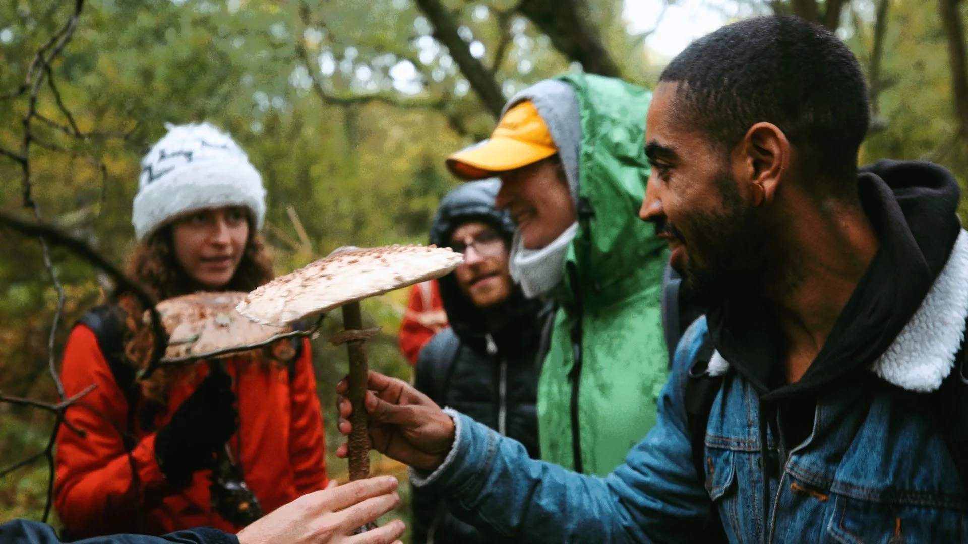 Finding Balance: Why the Autumn Equinox Still Matters in Our Modern World
