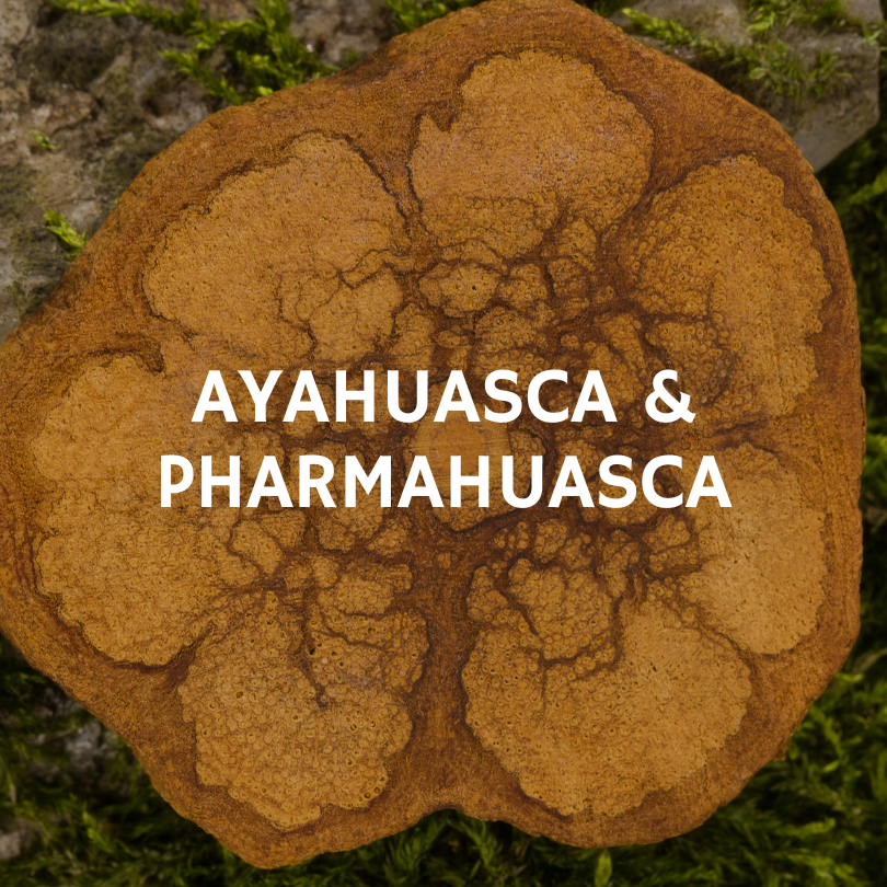 Ayahuasca & Pharmahuasca