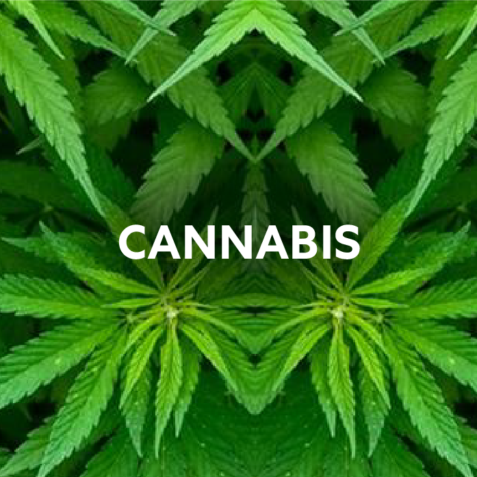 Cannabis
