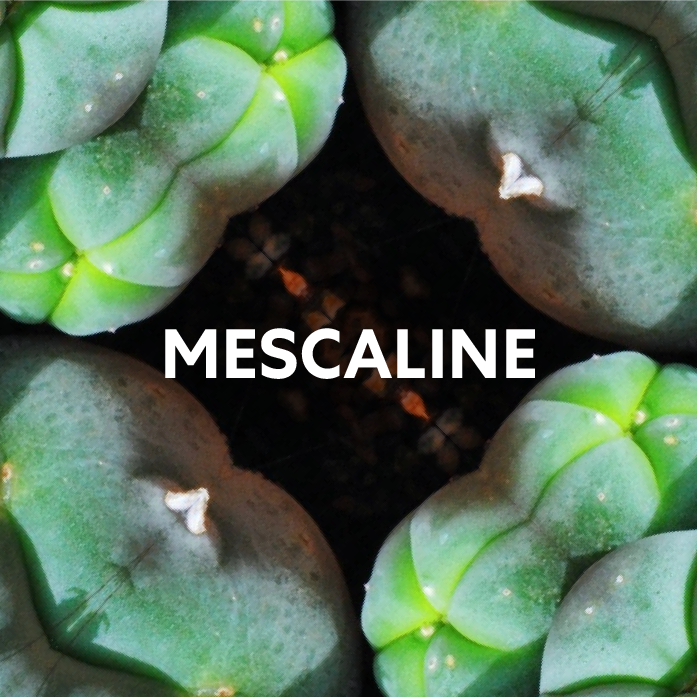 Mescaline