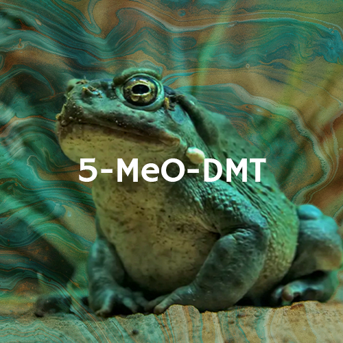 5-MeO-DMT