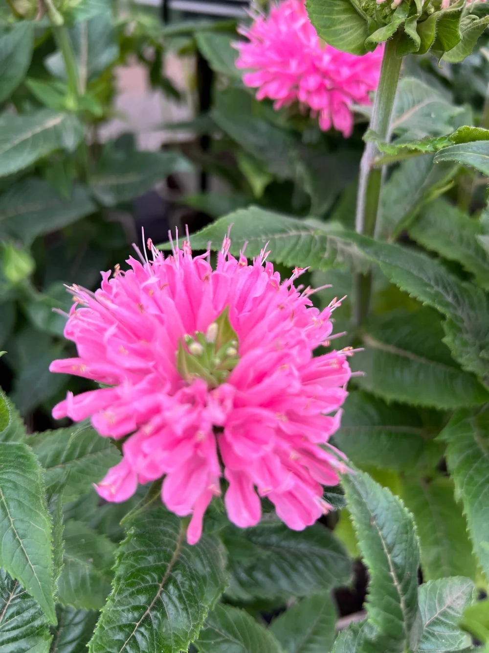18A5C977-5D84-4150-9C34-