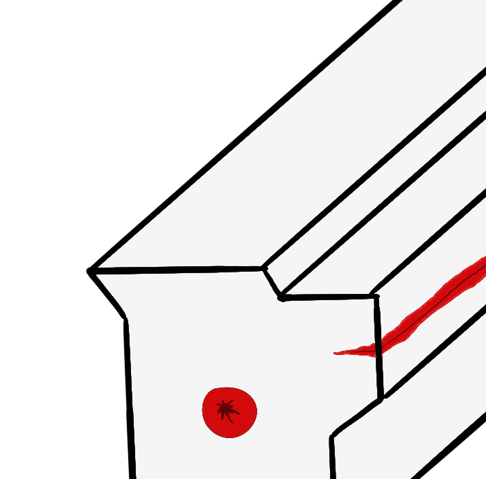 Capillary Action