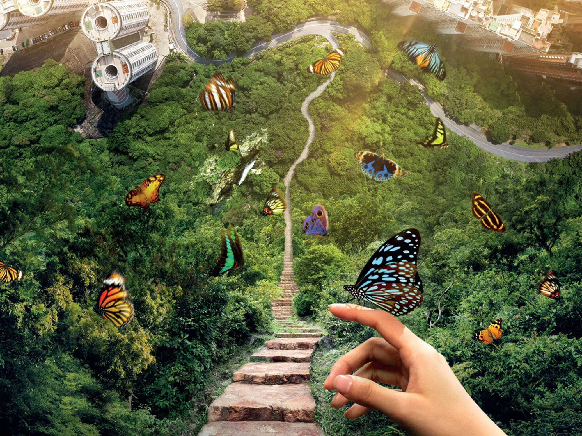 Hev_Website_Home_PagesWKD copy 3.jpg