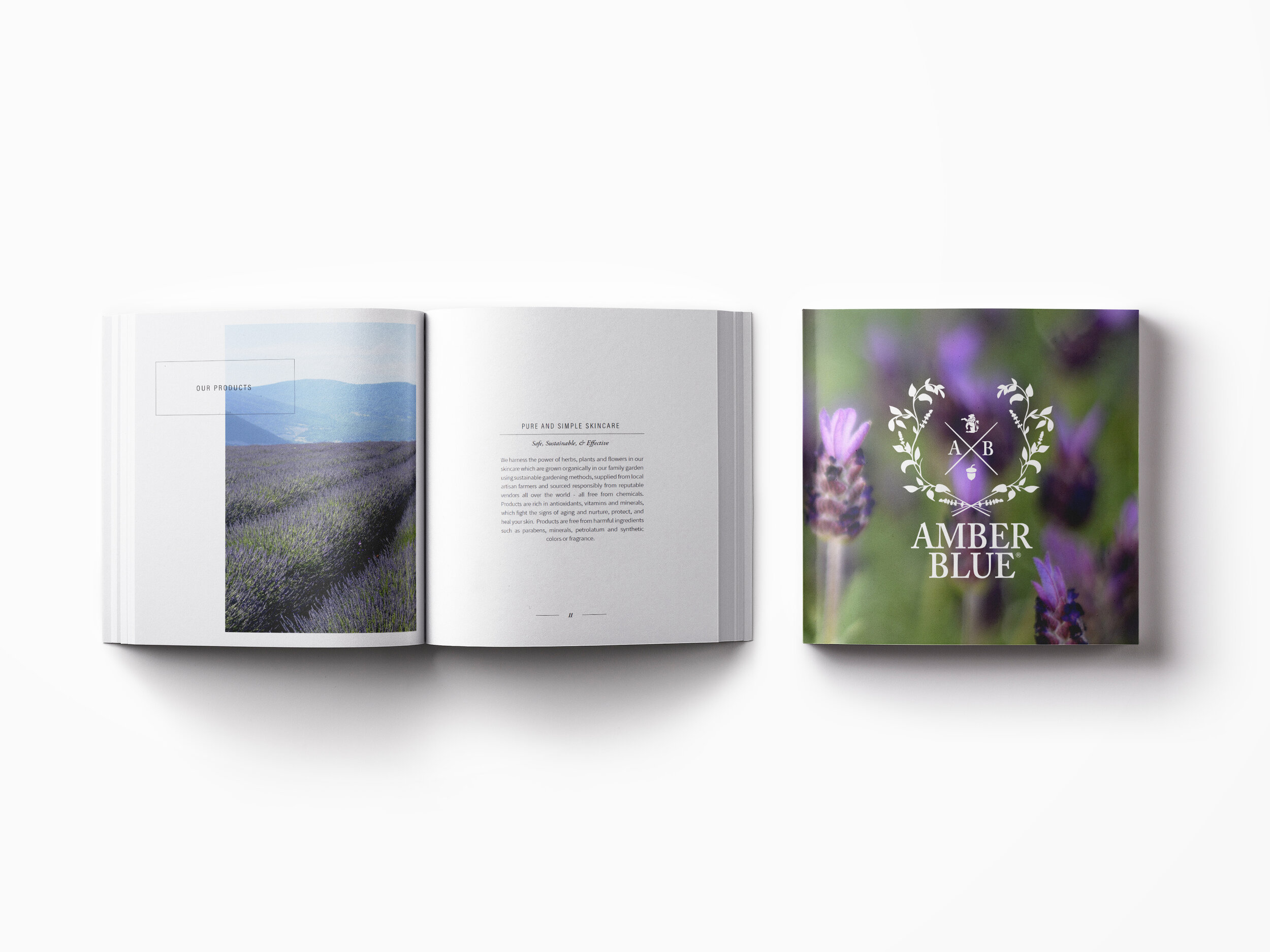 Amber_Blue_Brand_Book.jpg