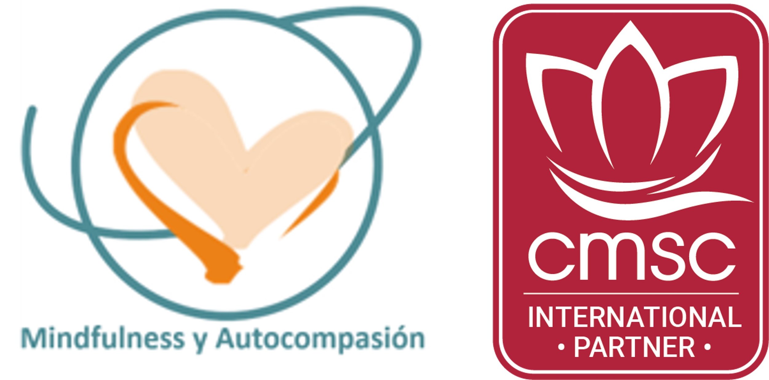 CMSC-international-partner-mindfulness-autocompasion-2023.jpg