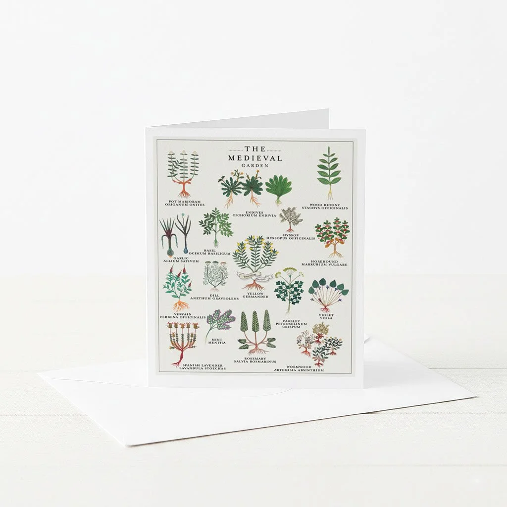 Medieval Herbal Garden Plants