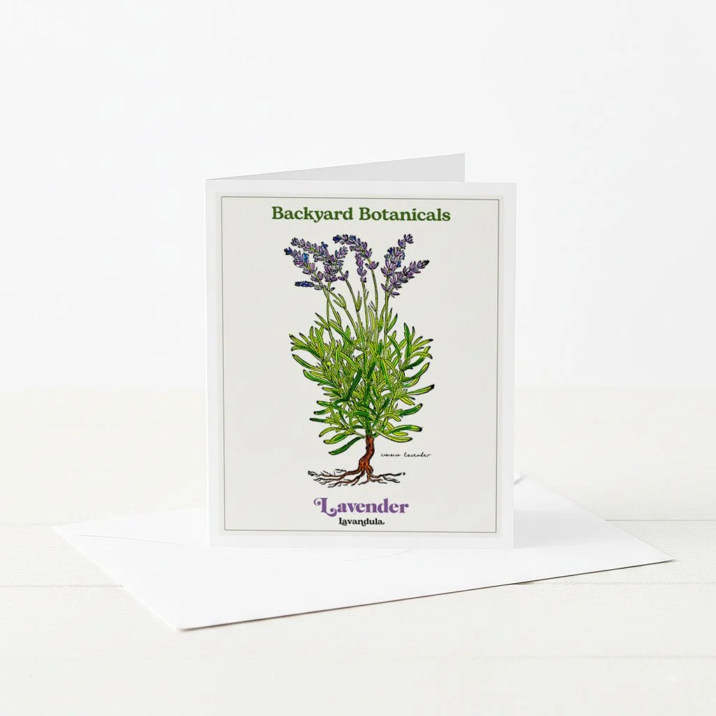 Botanical Greeting Card with Lavender Illustration.