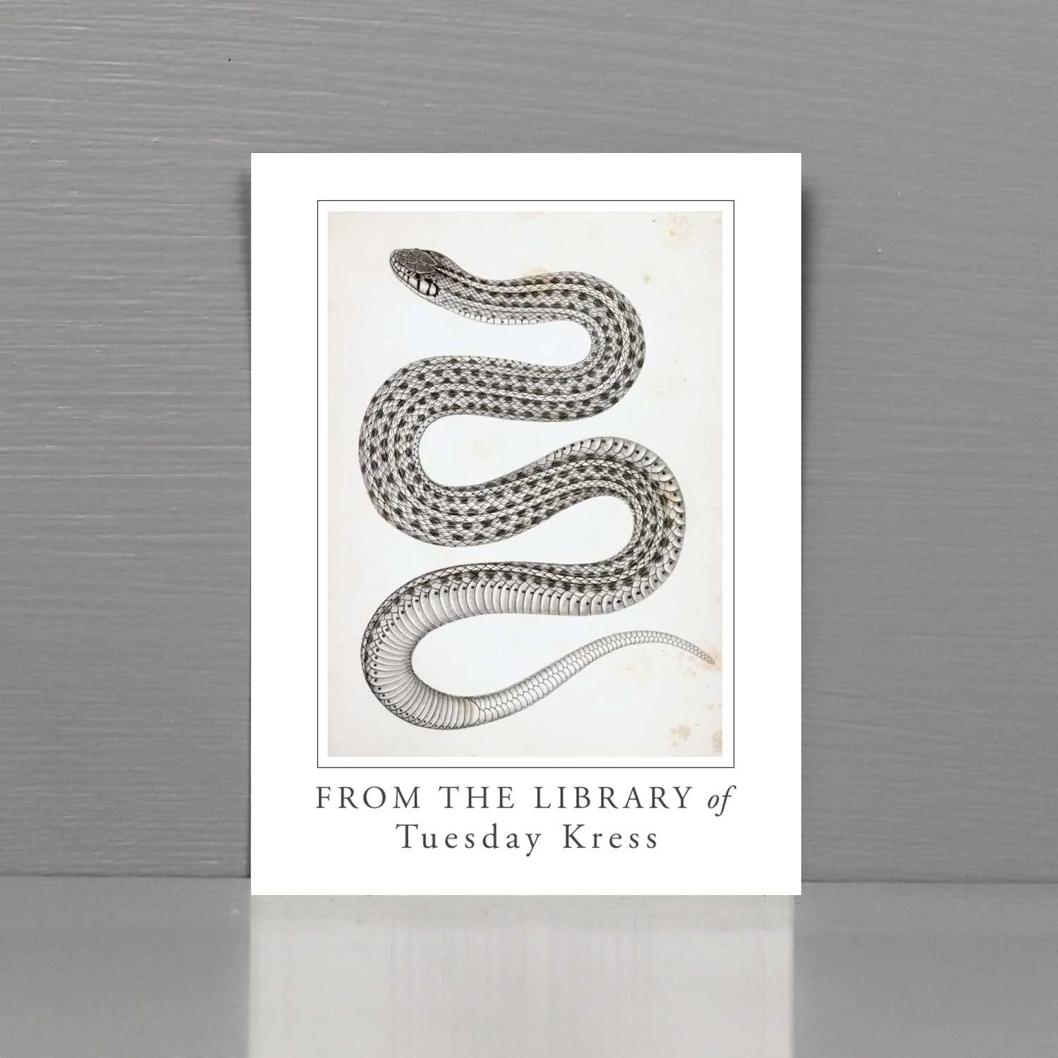 bookplate with snake illustration.