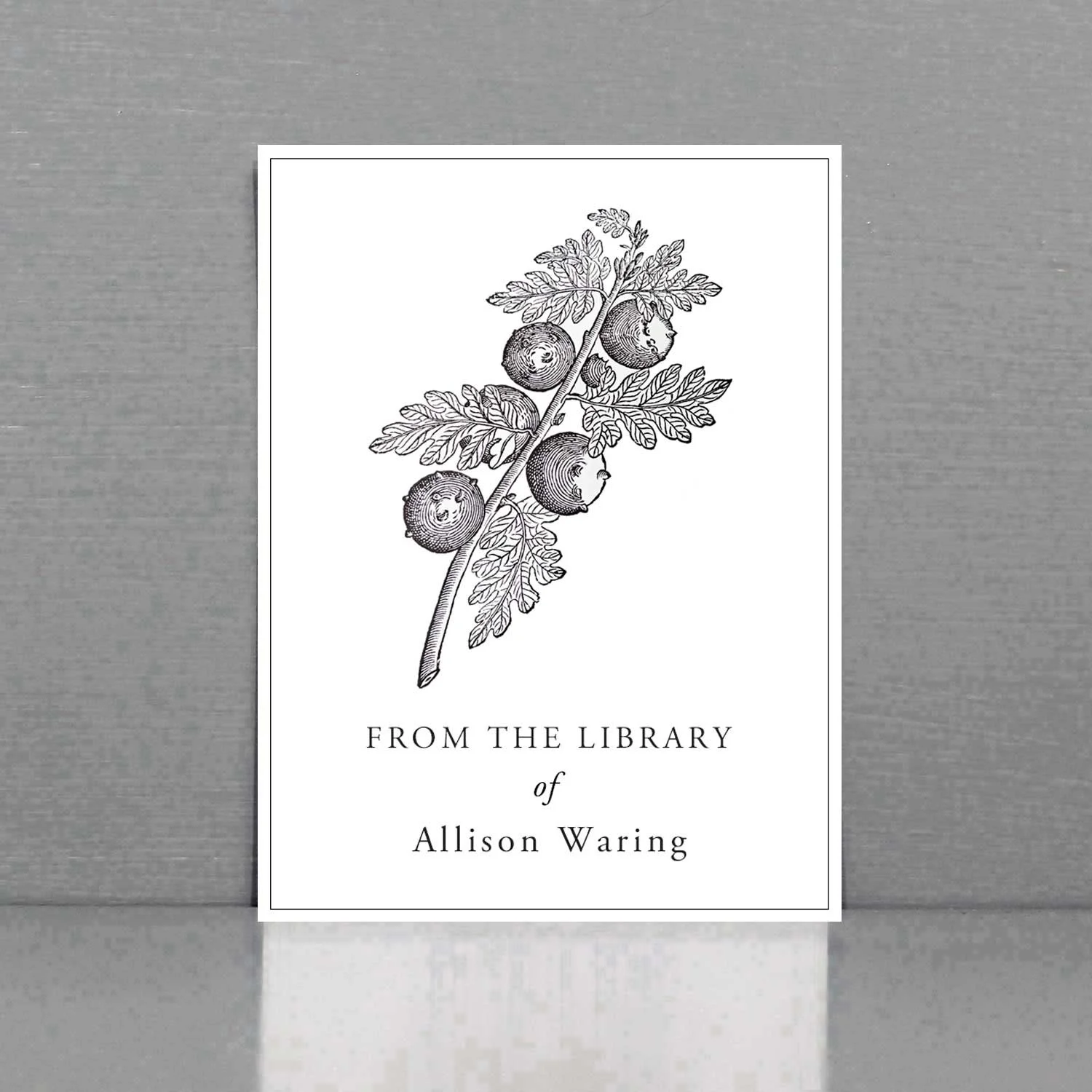 Personalized Bookplate with Woodcut English Oak Gall branch