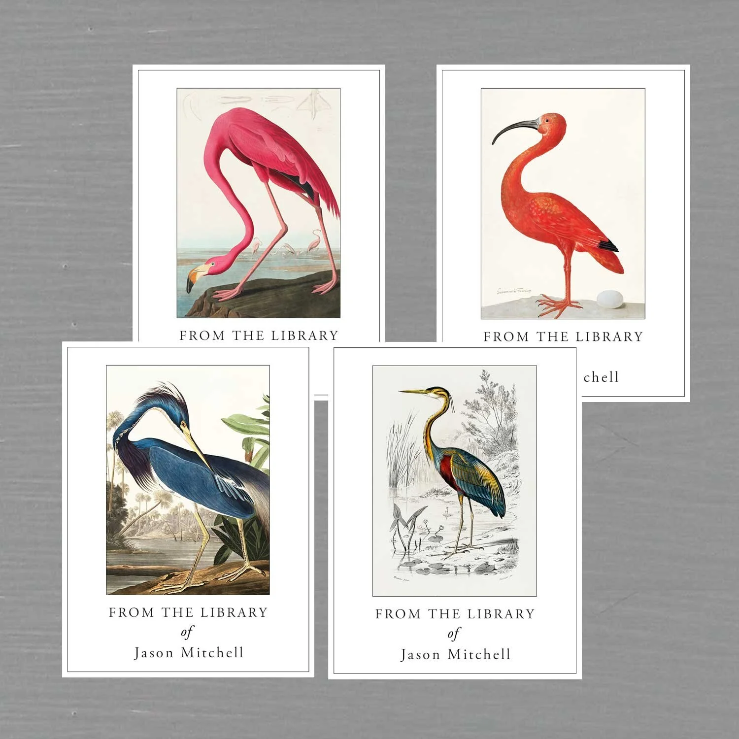 bird_bookplates.jpg