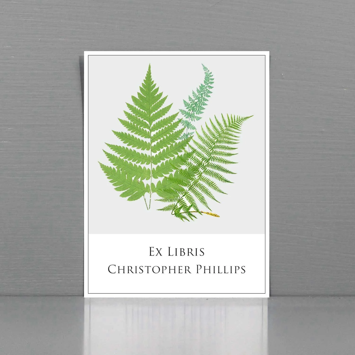 Personalized Bookplate with Antique Ferns