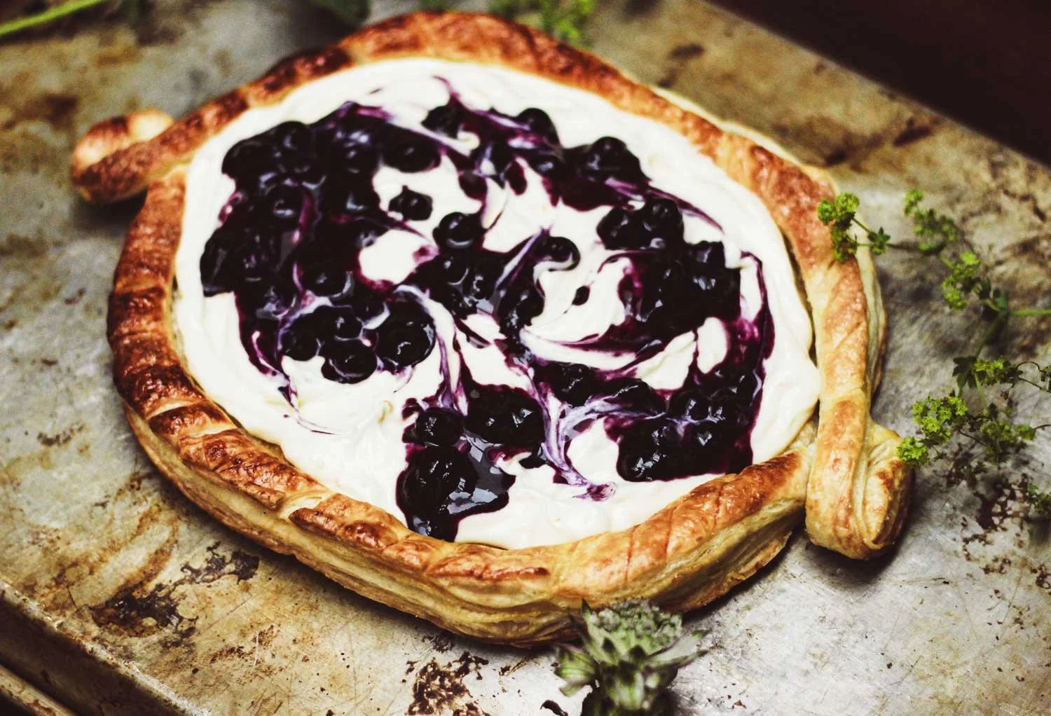 Heraldic Blueberry Cheese Pie