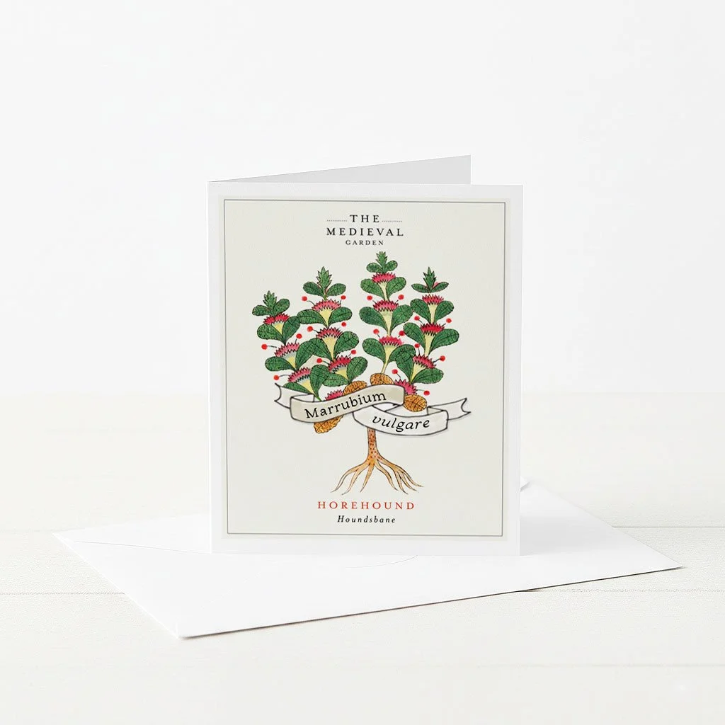 A greeting card featuring Horehound plant in illustrative style.