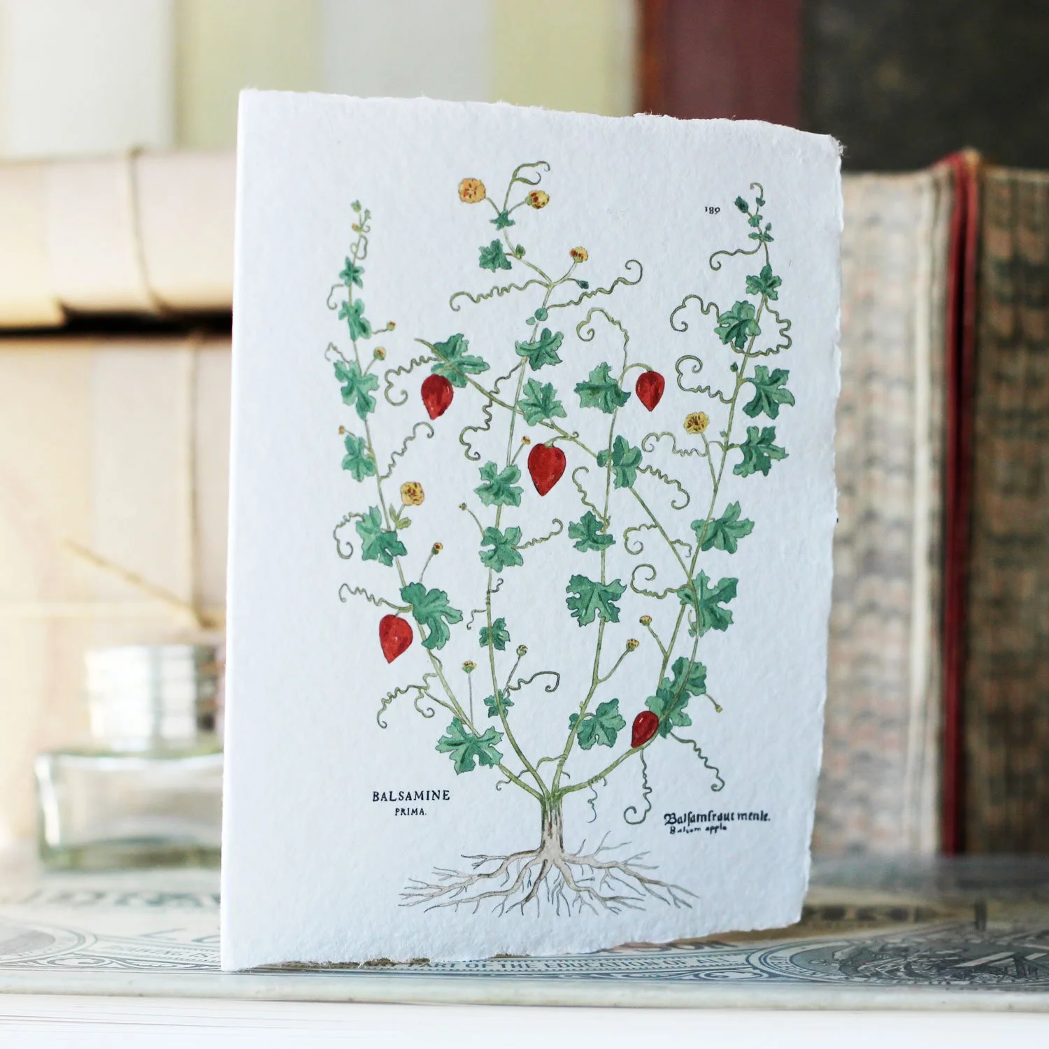 botanicals_2.jpg