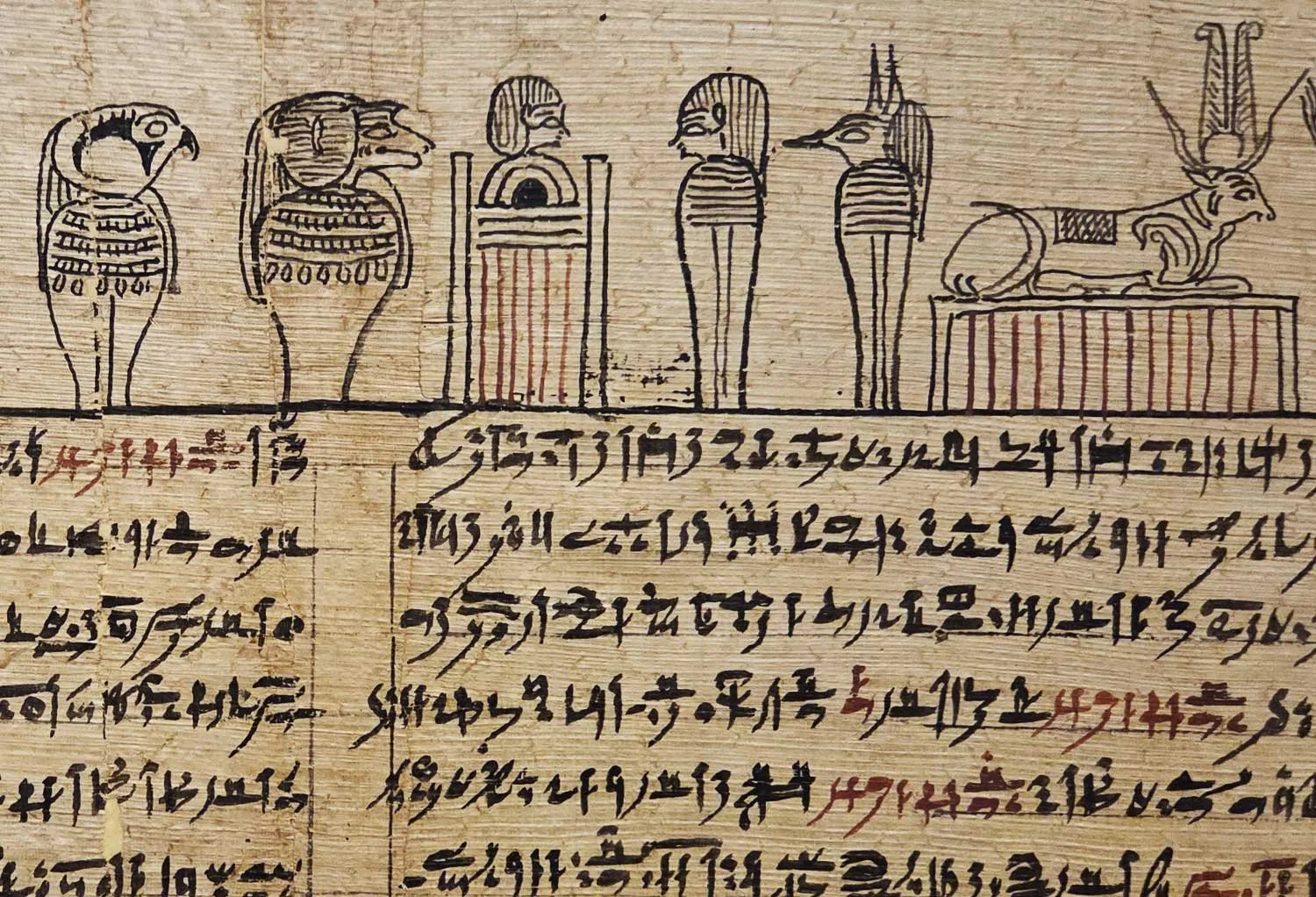 Papyrus darwings and writings.