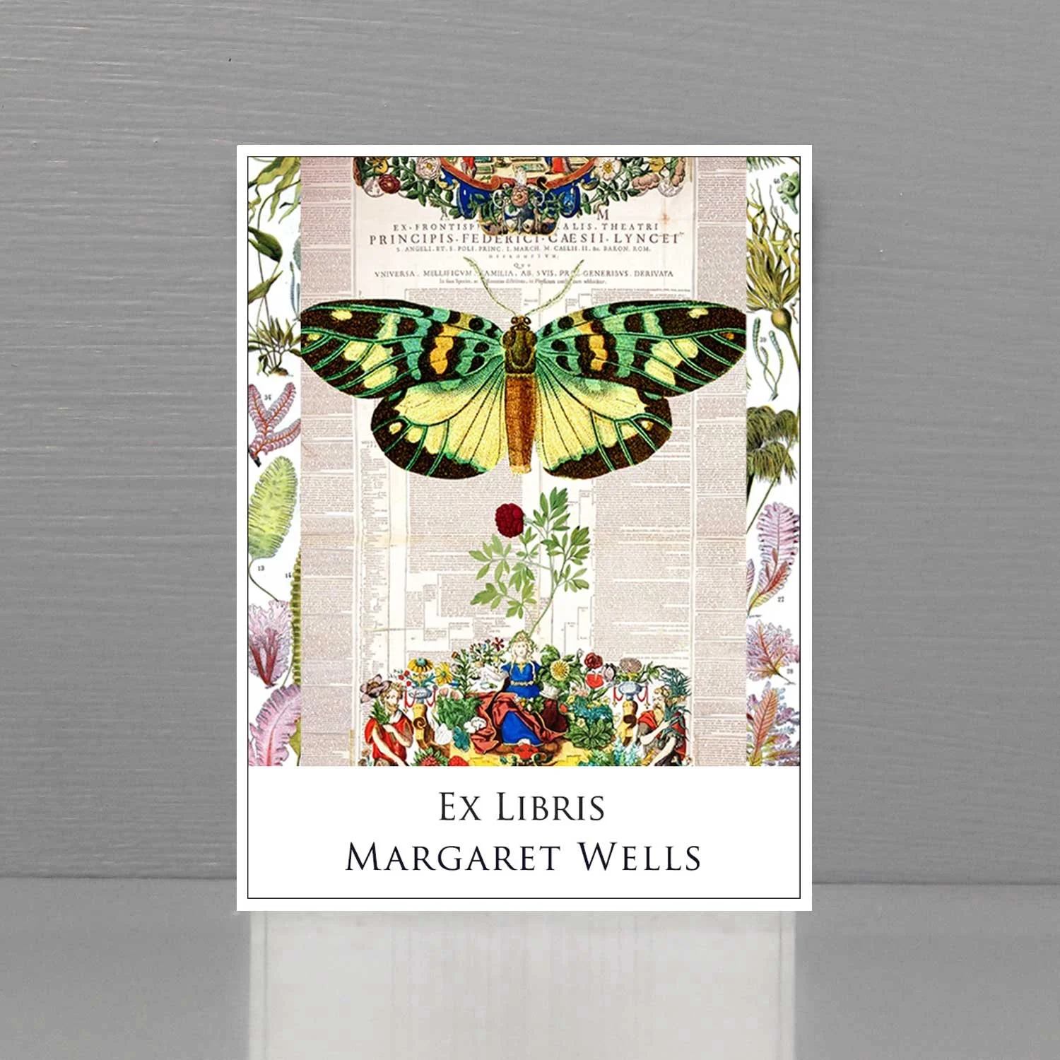 Butterfly collage bookplate
