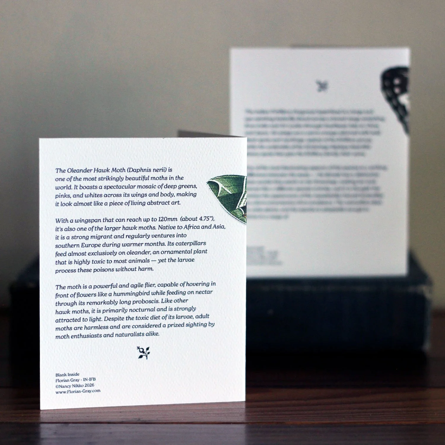 The backside of moth and greeting cards showing two example, each back has a bit about each insect.