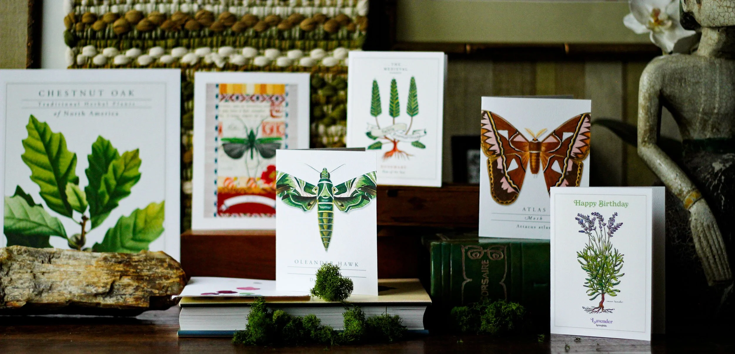 Selection of greeting cards with garden motifs such as butterflies, moths, flowers and moss.