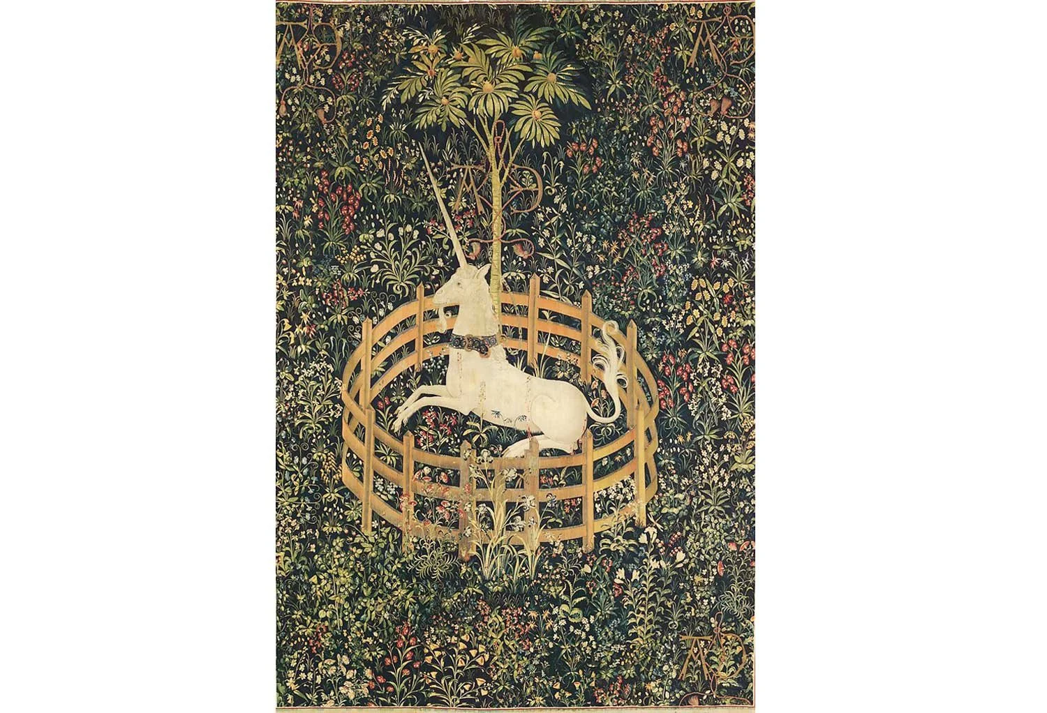 Unicorn resting in captivity.