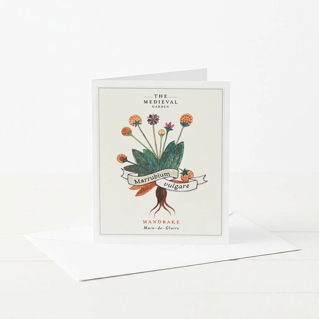 A greeting card featuring an illustration of a Mandrake herb plant.