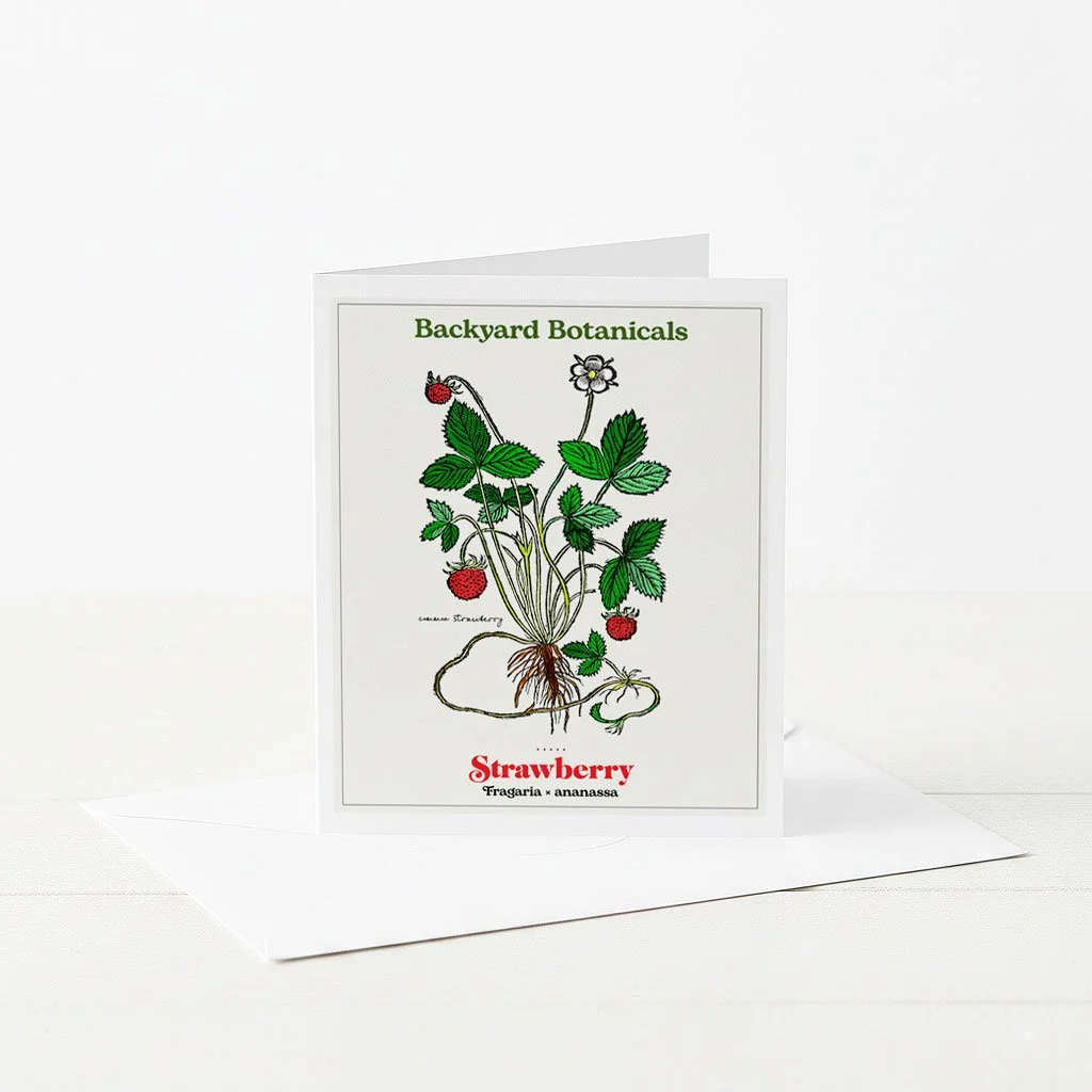 Botanical Greeting Card with Strawberry Illustration.