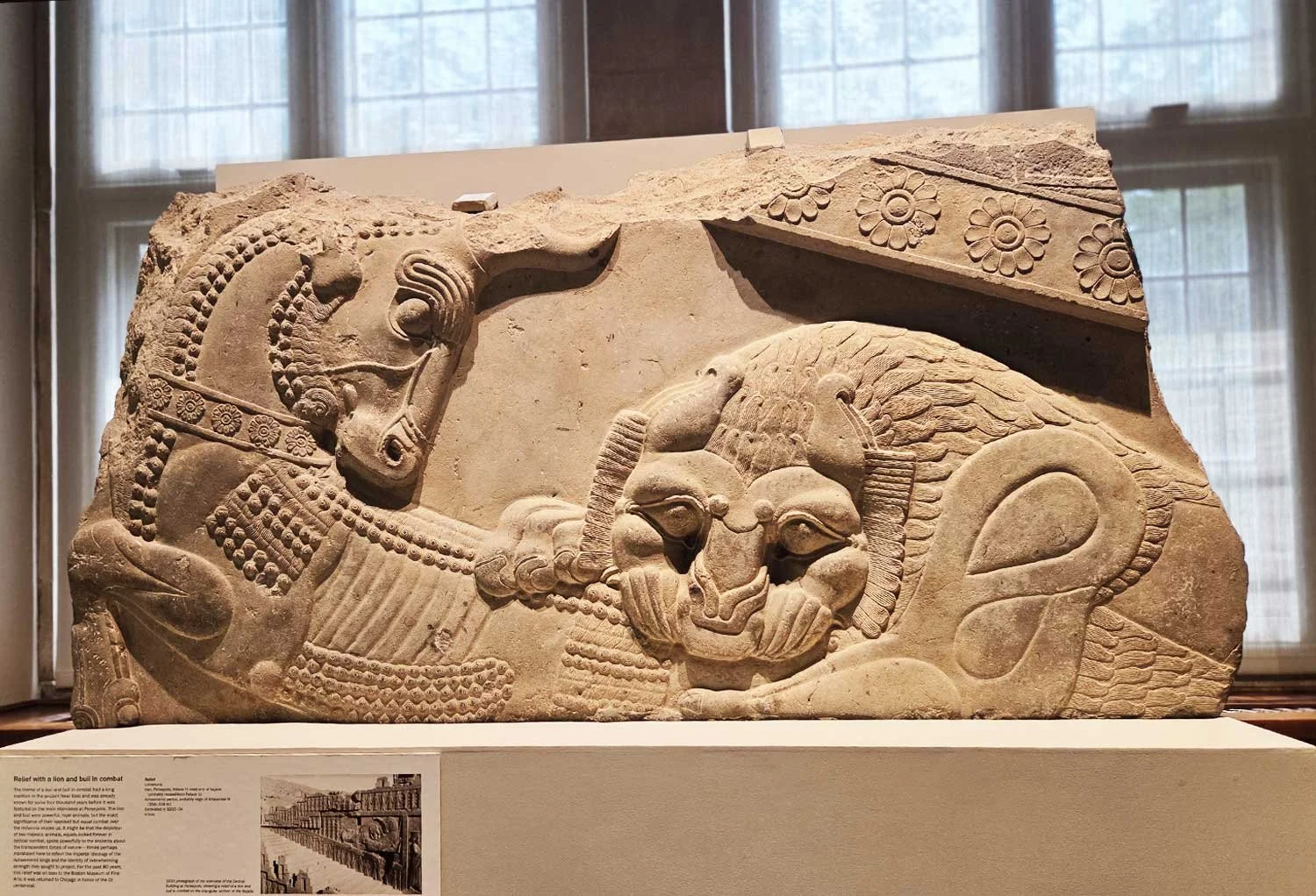 A relief with lion and bull in combat, Persepolis, Iran