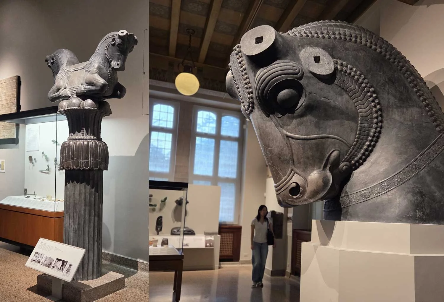Bull capitals.