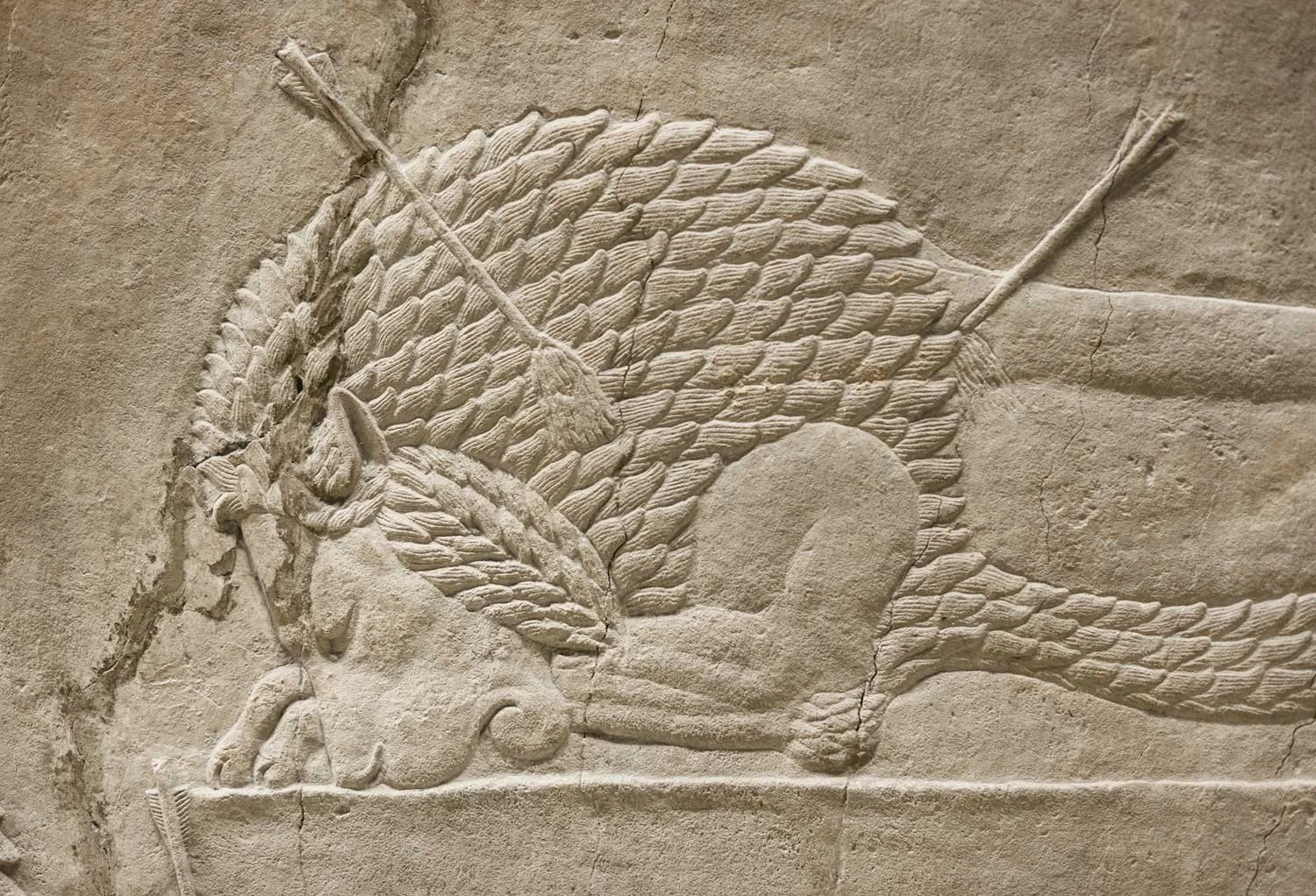 Fallen lion.