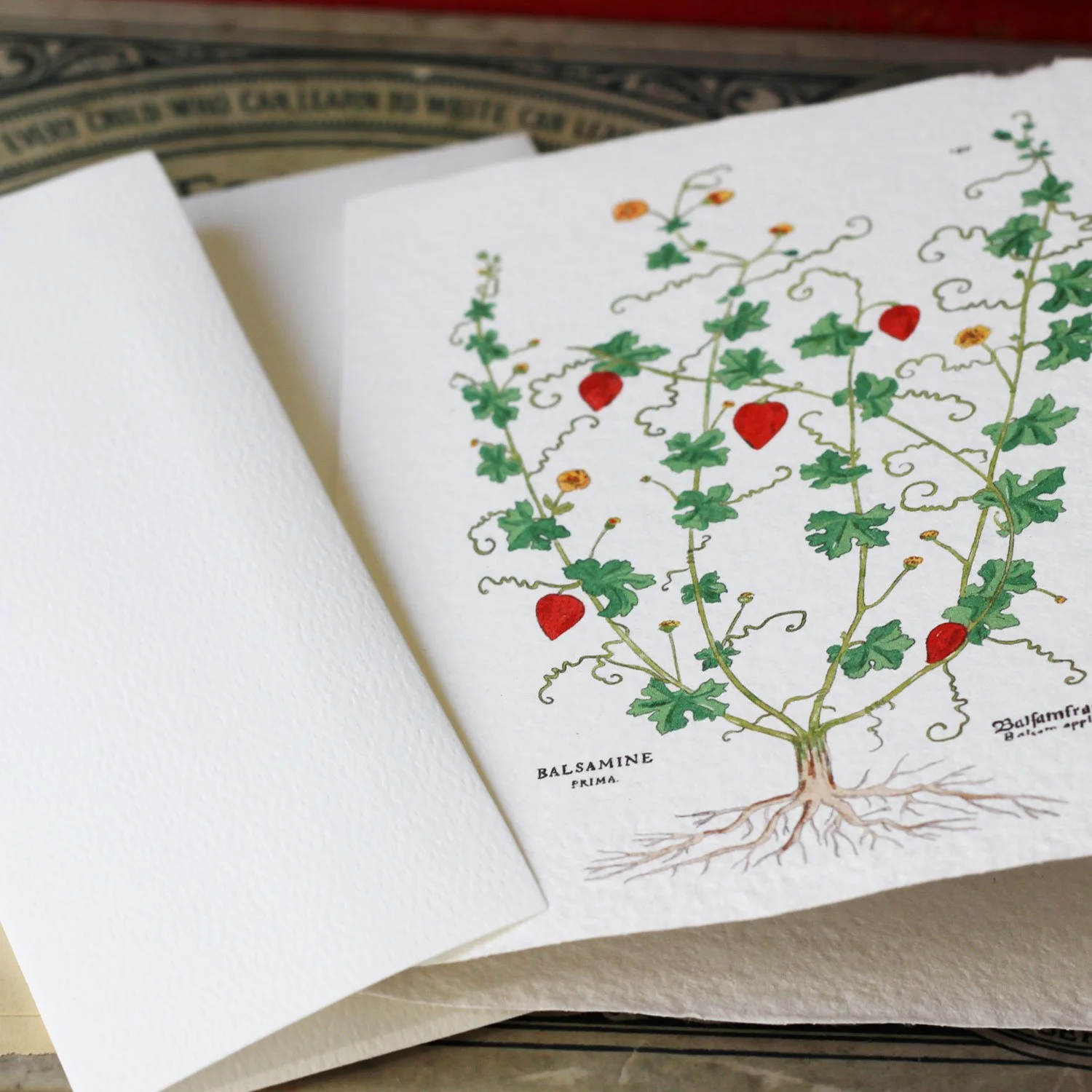 botanical_handmade-set2.jpg