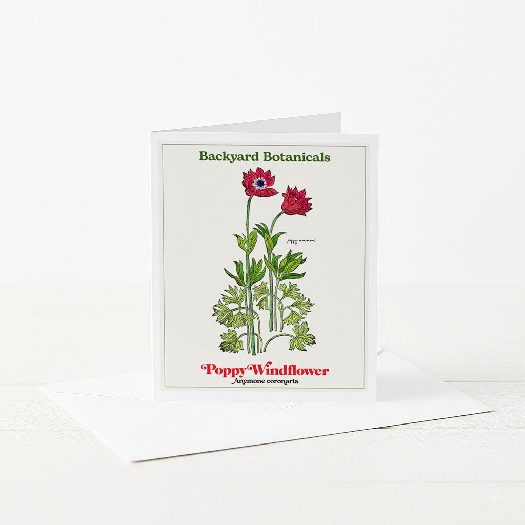 Botanical Greeting Card with Poppy Windfloer Illustration.