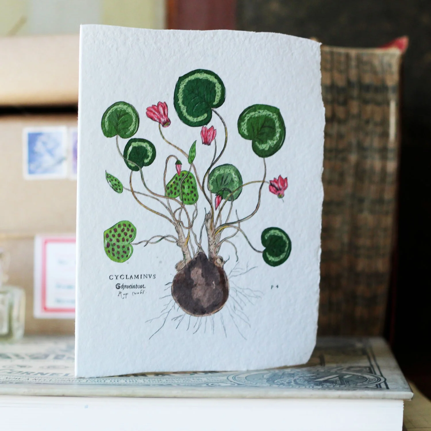 botanicals_3.jpg