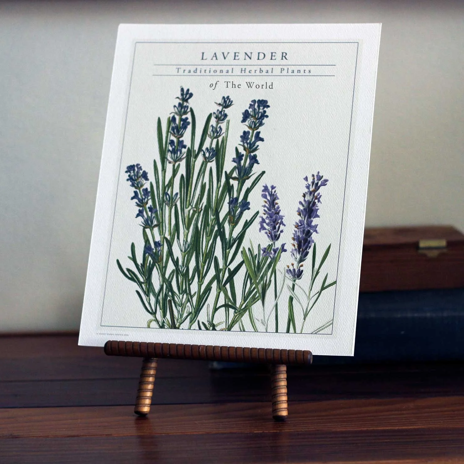 Lavender Herbal Art Print, 8x10