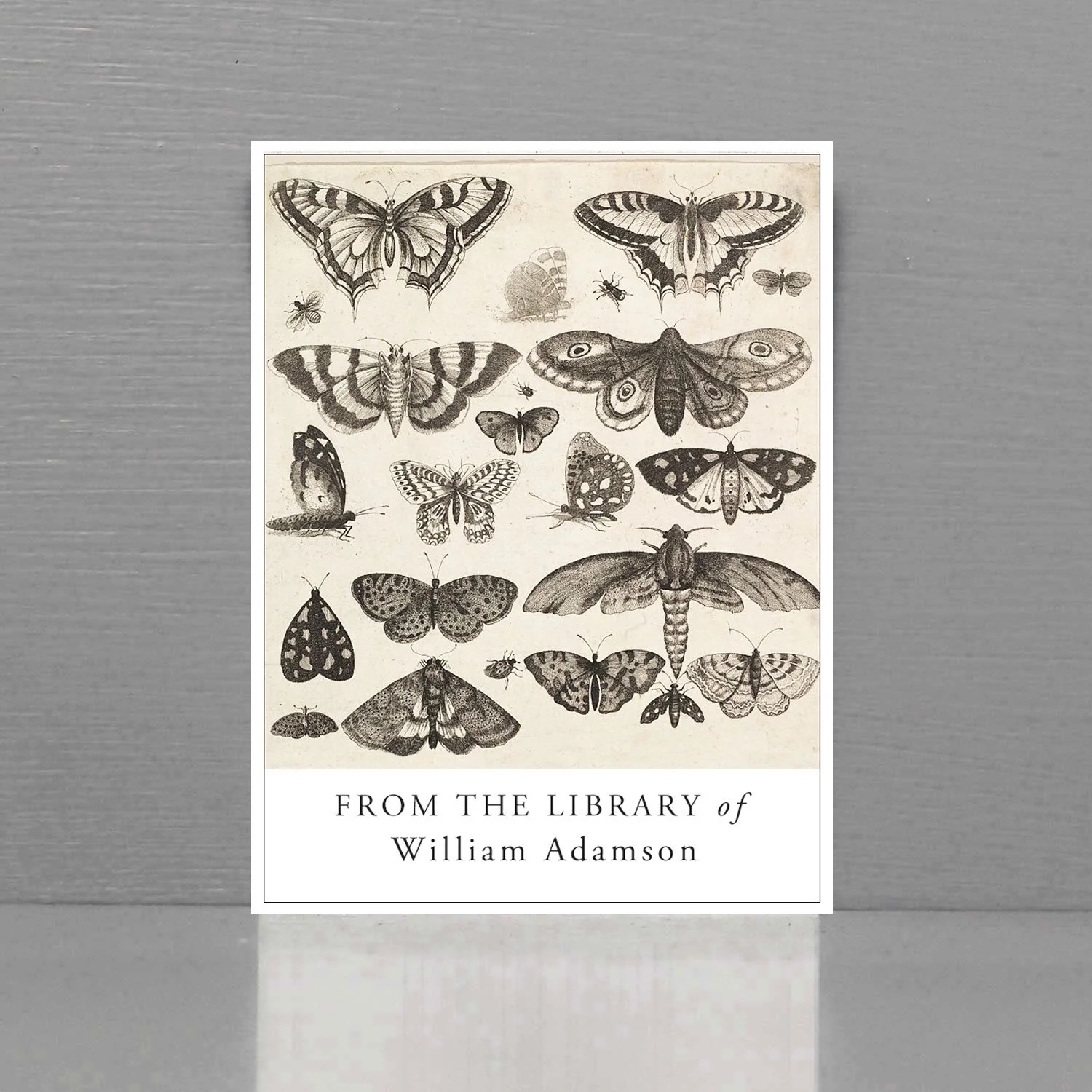 Personalized bookplate featuring a collection of illustrated butterflies and moths.