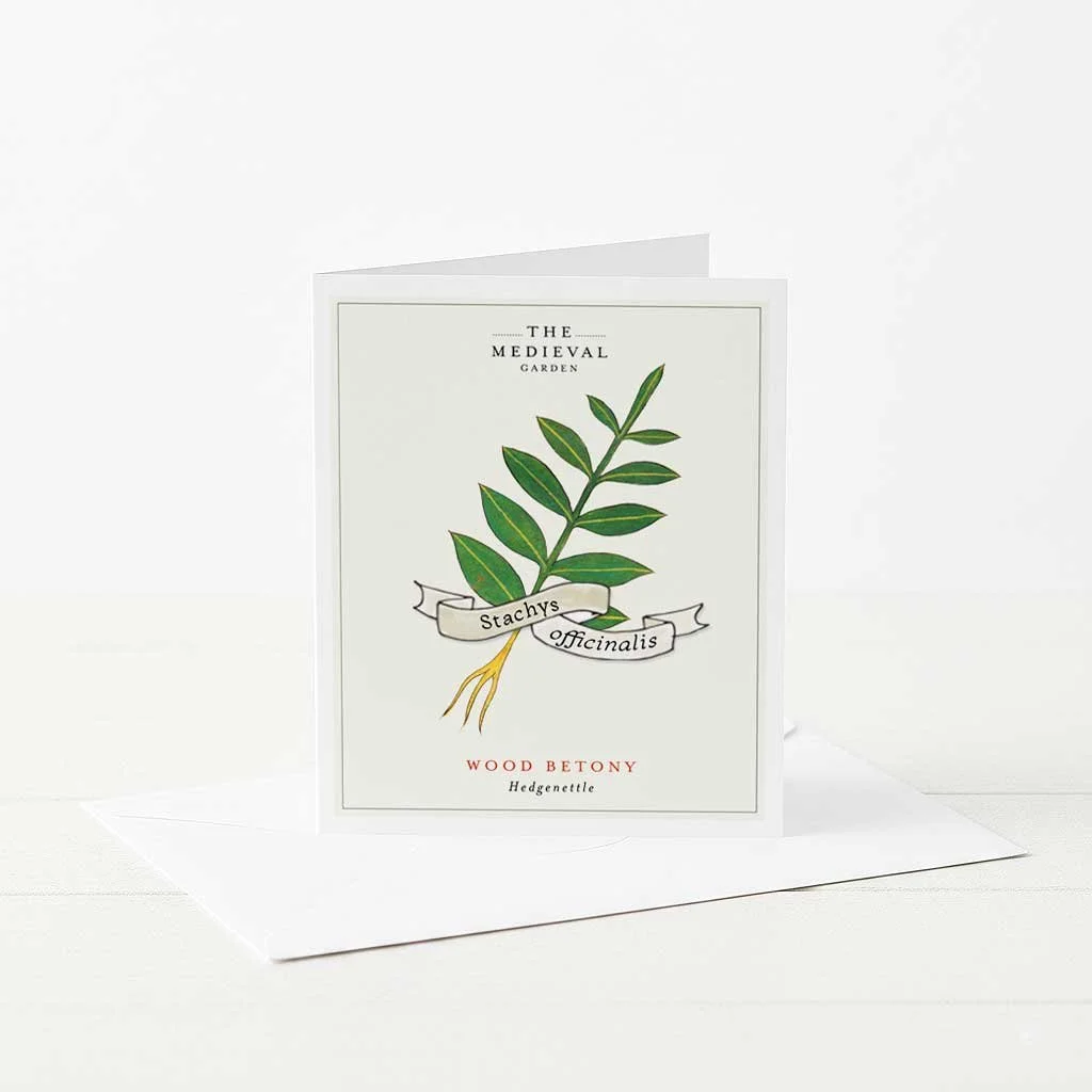 A greeting card featuring an illustration of a medieval Wood Betony.