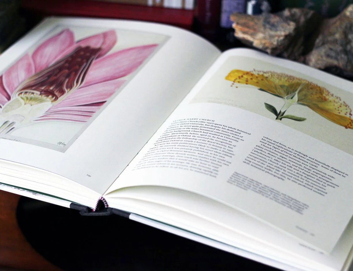 Botanical illustrations by Arthur Harry Church.