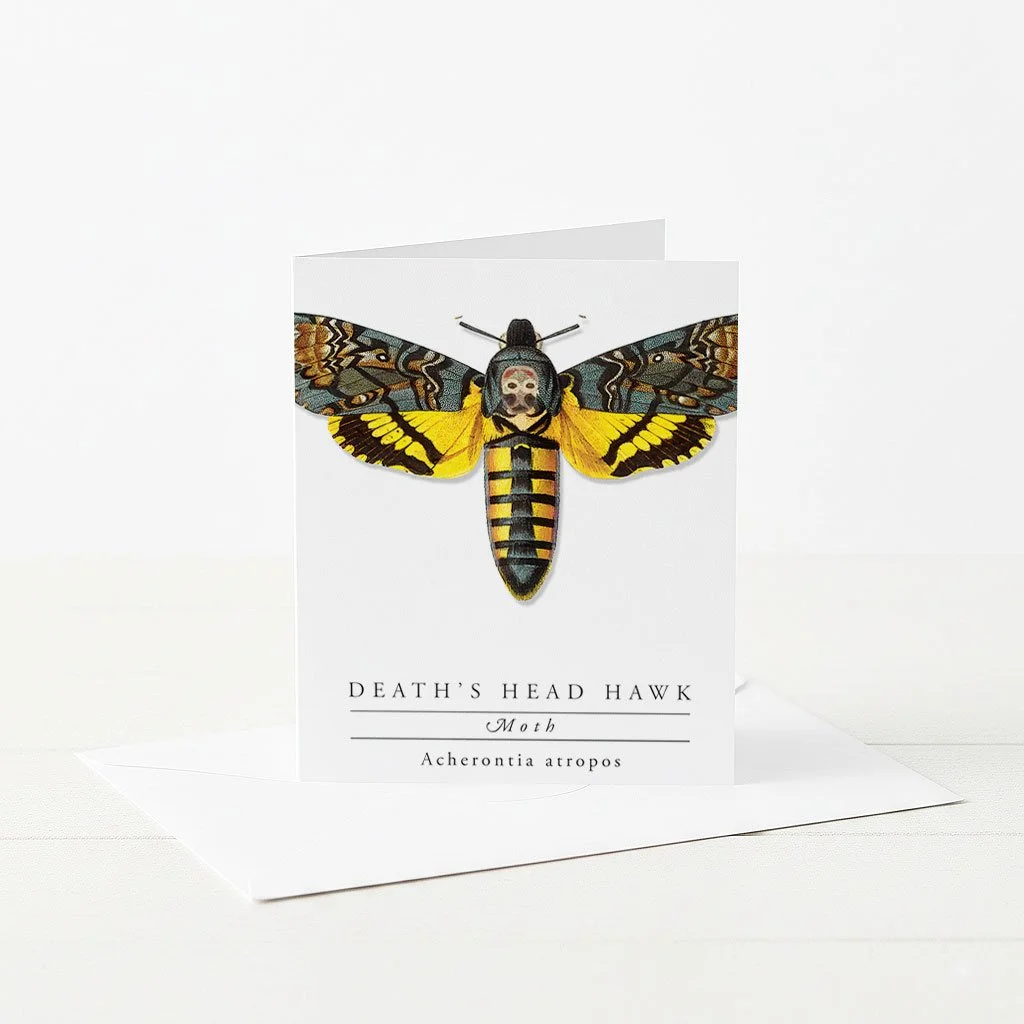 Death's Head Hawk Moth greeting card.