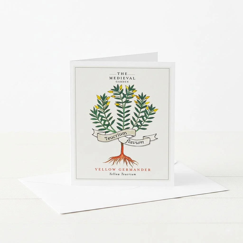 A greeting card featuring an illustration of a medieval Yellow Germander.