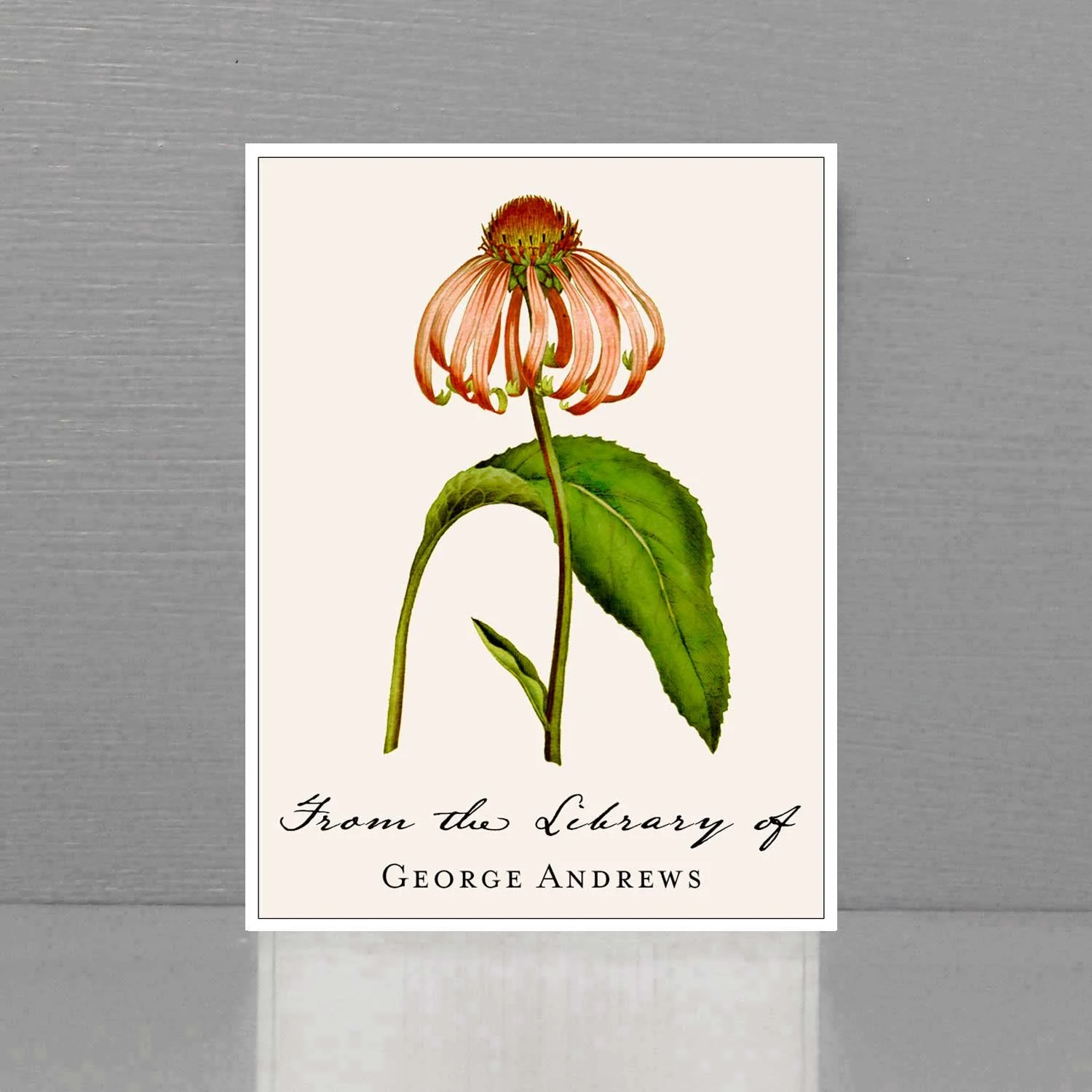 Personalized Bookplate with Vintage Echinacea